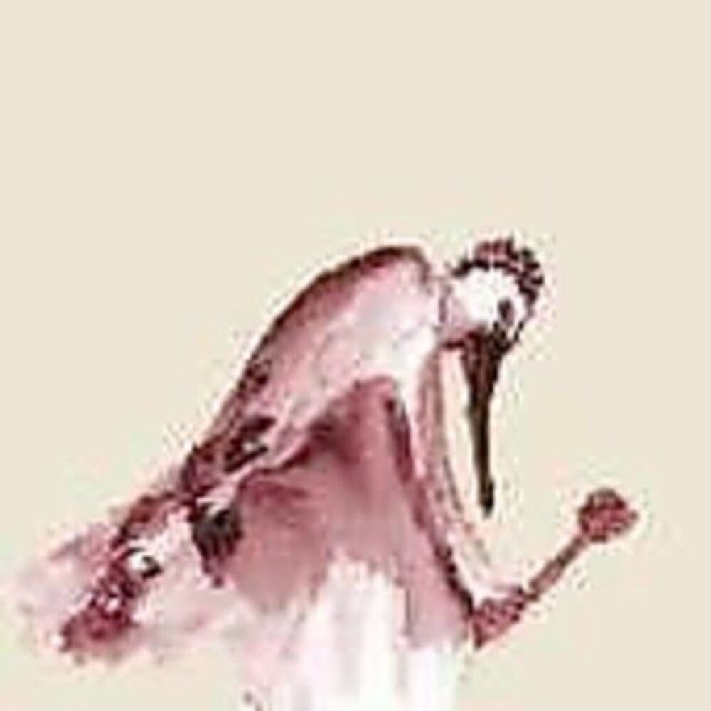 From Quagmire - Habitats in the Wound  CD